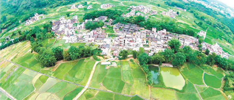 陽山縣太平鎮(zhèn)白花村中心小組,村中整合前的土地分布零散,由原來的78塊田整合成33塊田。