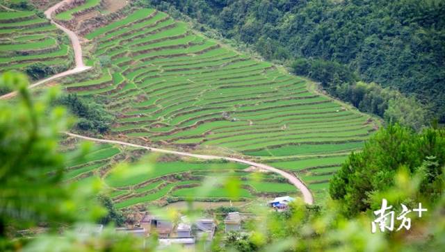 黑山村梯田。記者黃津 攝